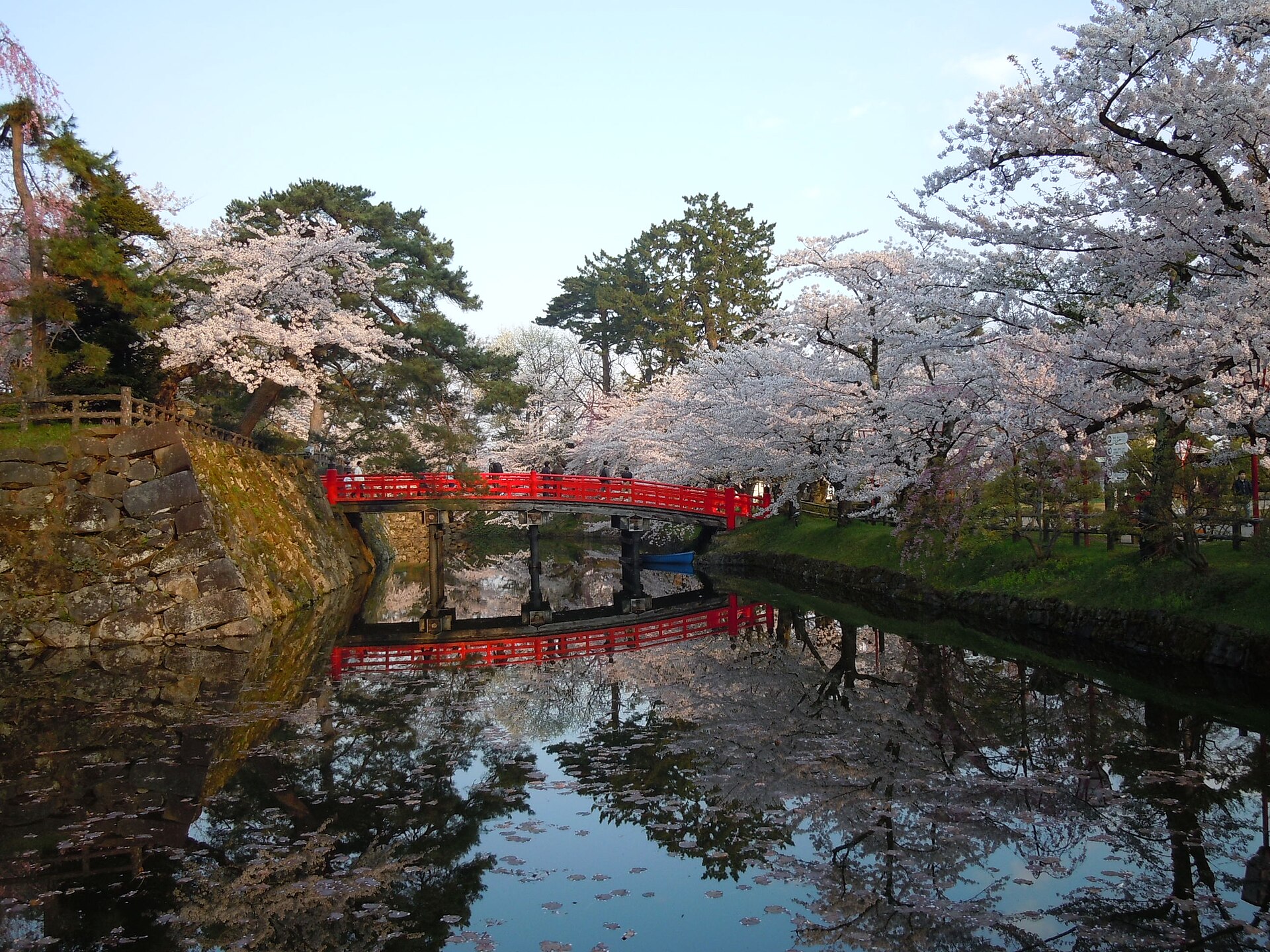 Hirosaki Park in cherry blossom season, Tohoku
