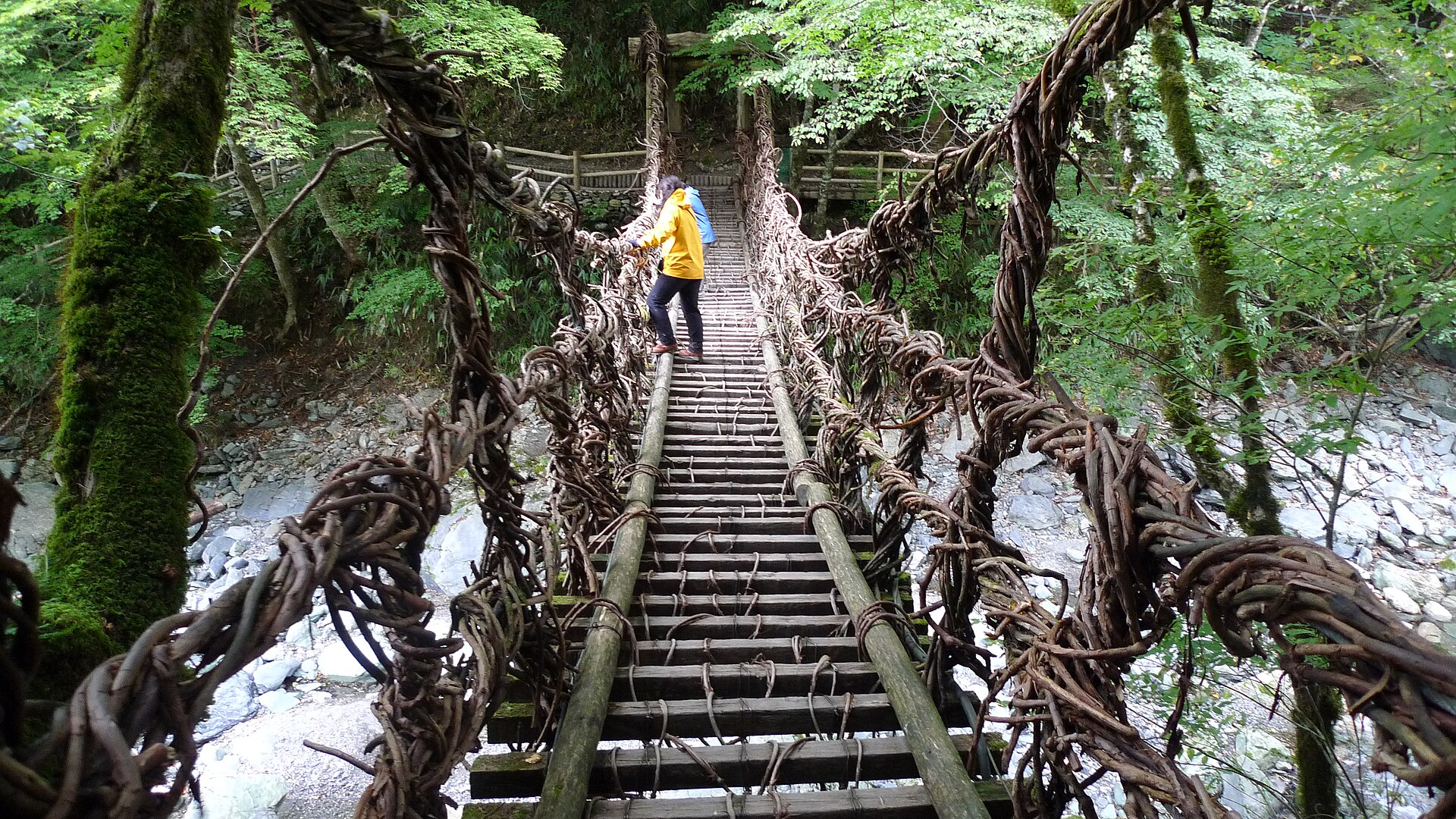 Oku-Iya double vine bridge in Shikoku