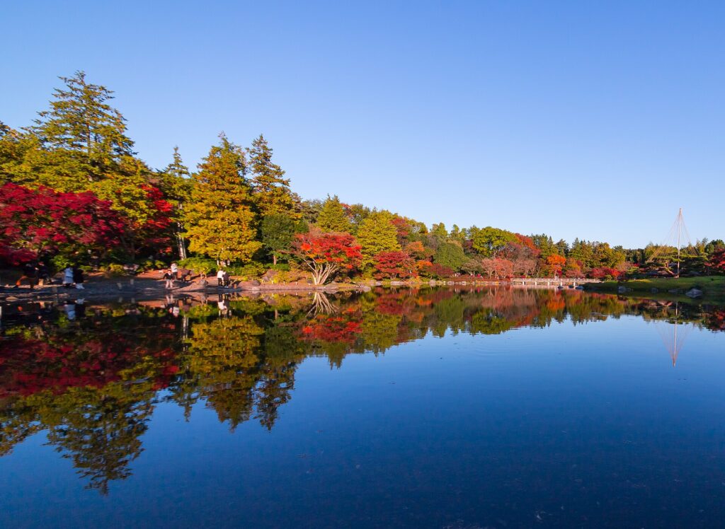 Autumn leaves in the Japanese garden at Showa Kinen Park, Tachikawa, Tokyo