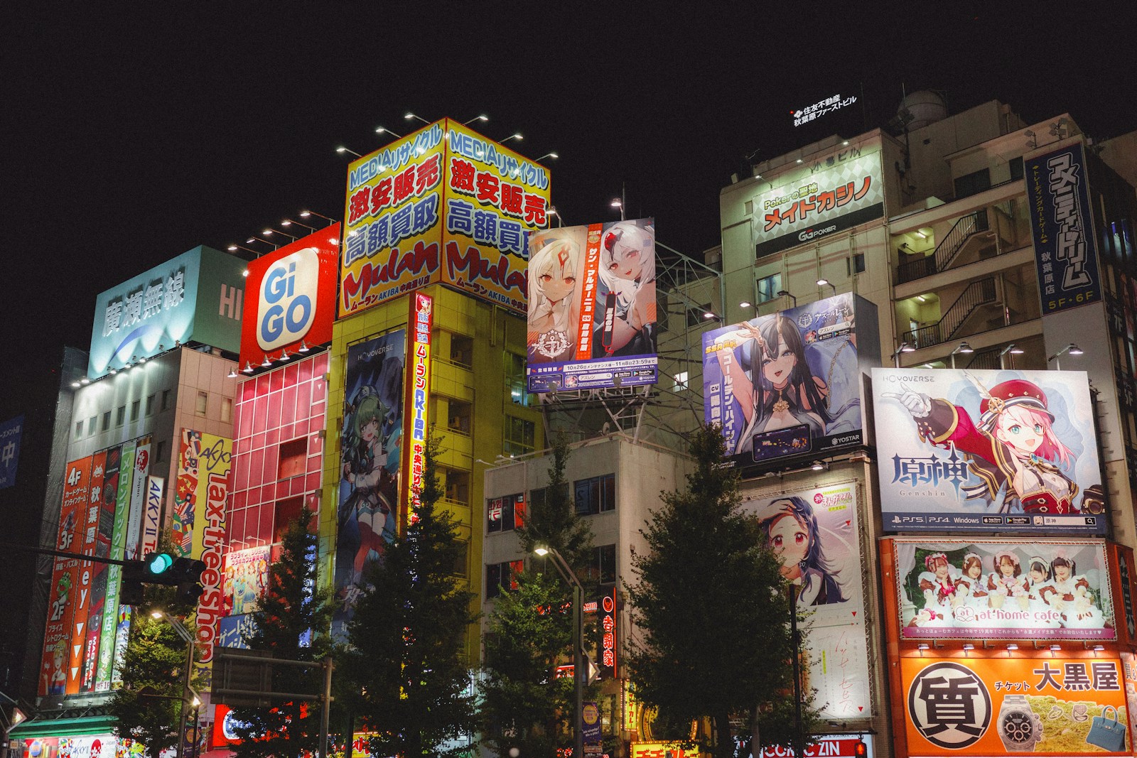 Things to do in Akihabara: neon signs on a busy Akihabara street at night