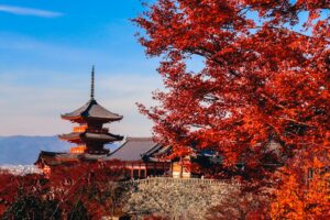 Kiyomizu-dera temple pagoda among trees, one of the top things to do in Kyoto