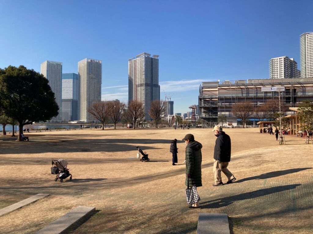 Things to do in Toyosu: waterfront park and tower blocks on a clear winter day