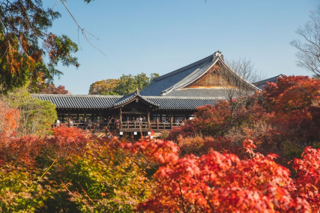 Tofukuji temple with autumn maples, Kyoto