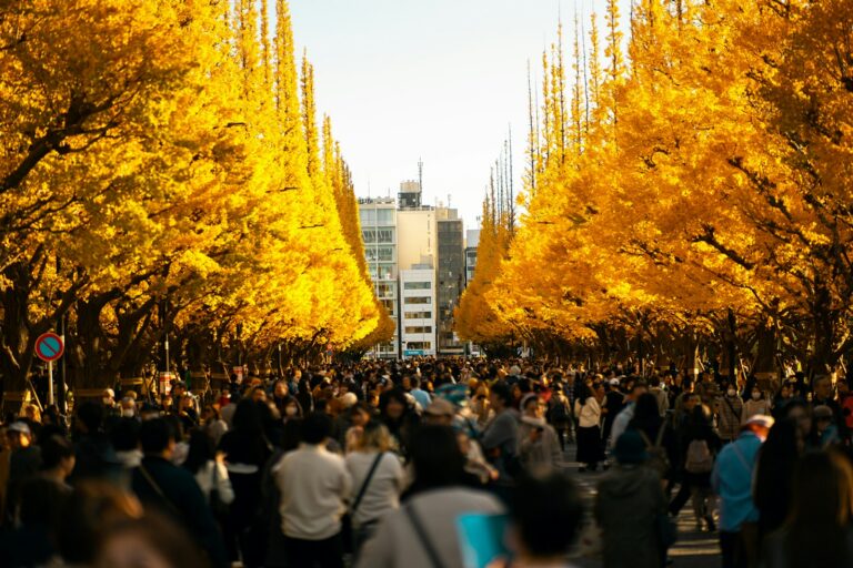 Tokyo in November: crowds walking under golden ginkgo trees