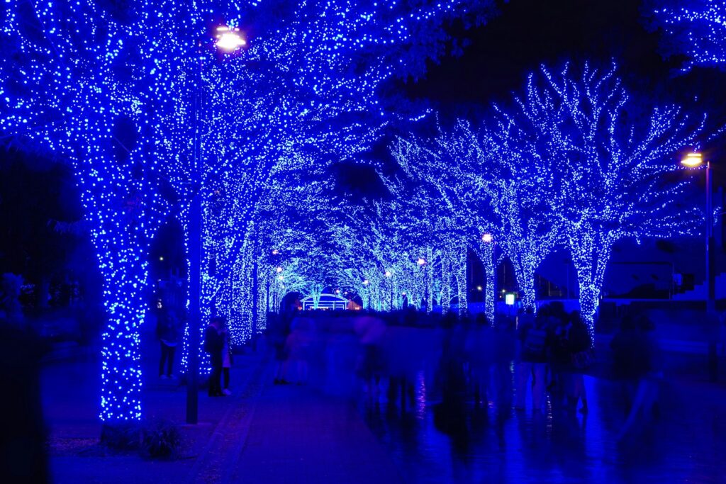 Shibuya Ao no Dokutsu blue cave illumination – trees covered in blue lights