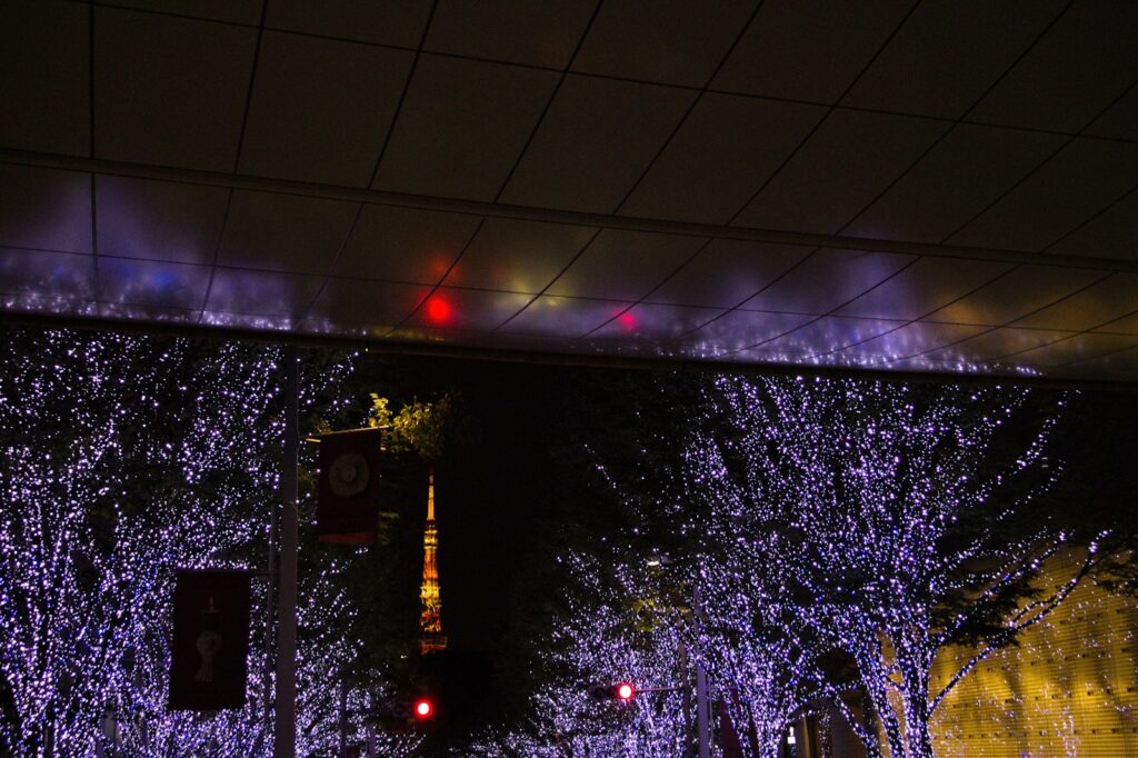 Tokyo winter illumination – street trees wrapped in white lights in Tokyo at night