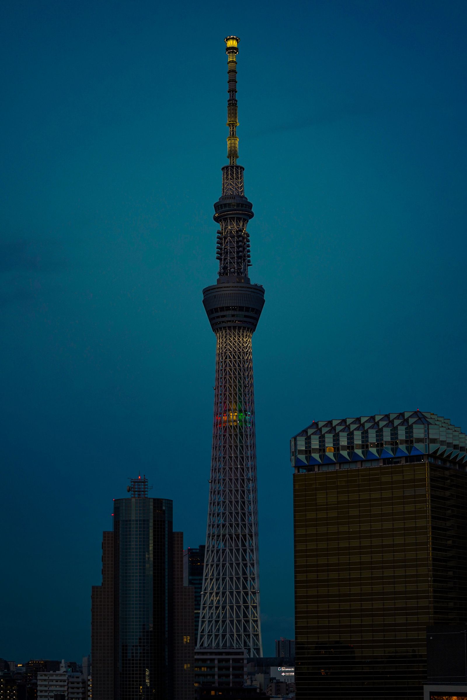 Tokyo Skytree illuminated at night