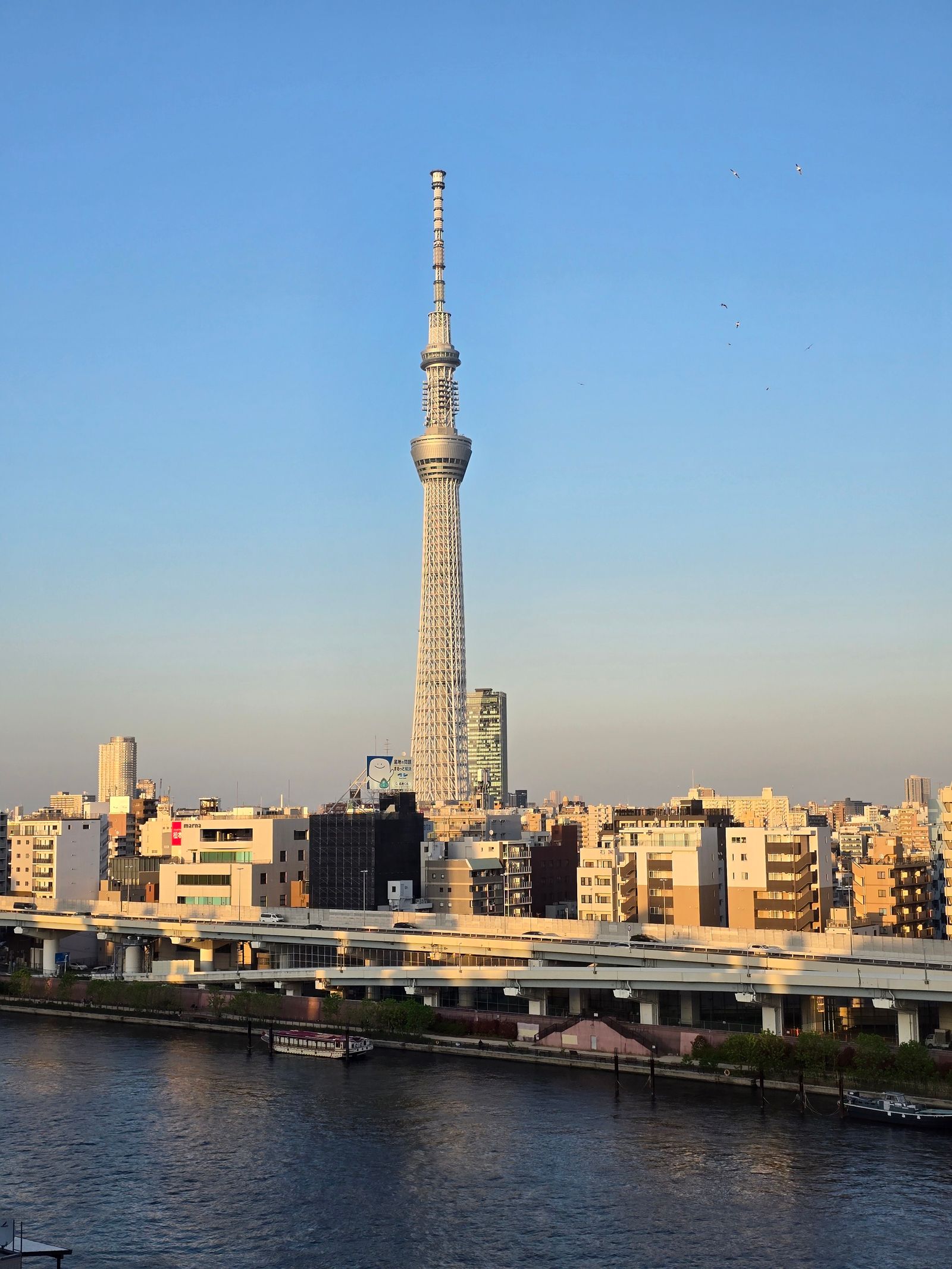 Tokyo Skytree seen over the Sumida River skyline in daytime