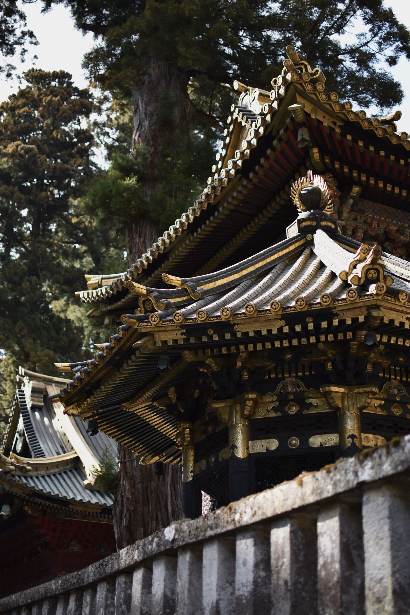 Toshogu Shrine, Nikko, Tochigi, Japan: gilded and carved shrine roofs among cedar trees
