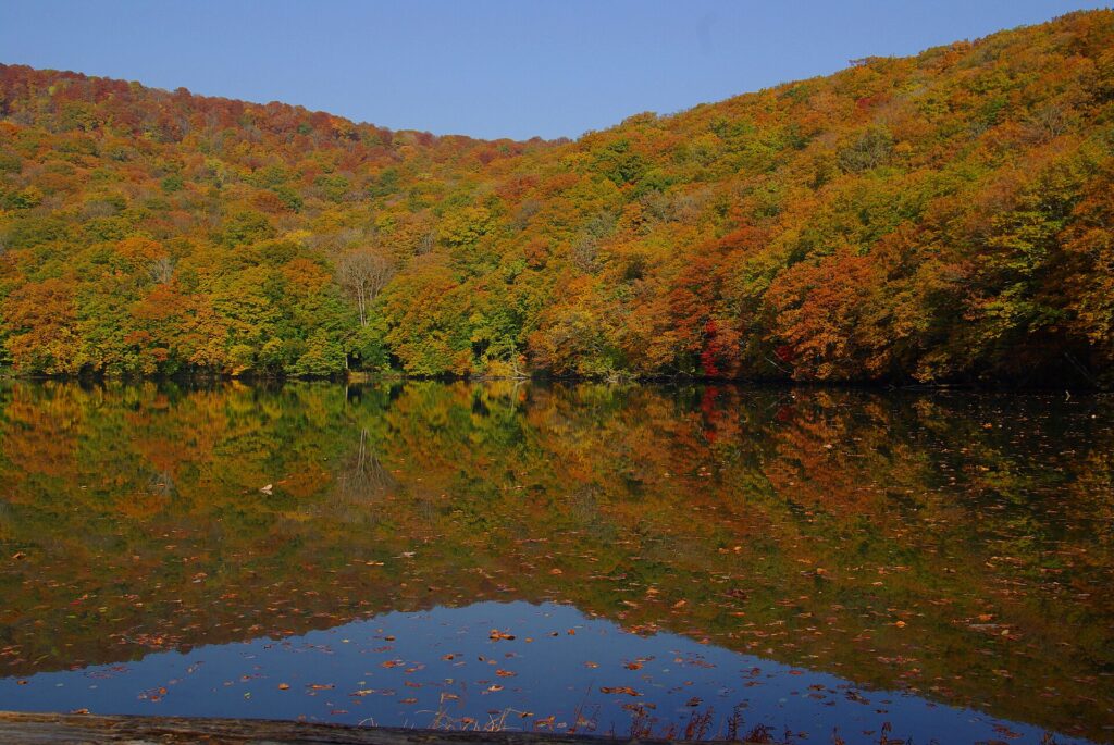 Autumn leaves at Tsutanuma pond, Towada, Aomori, Japan