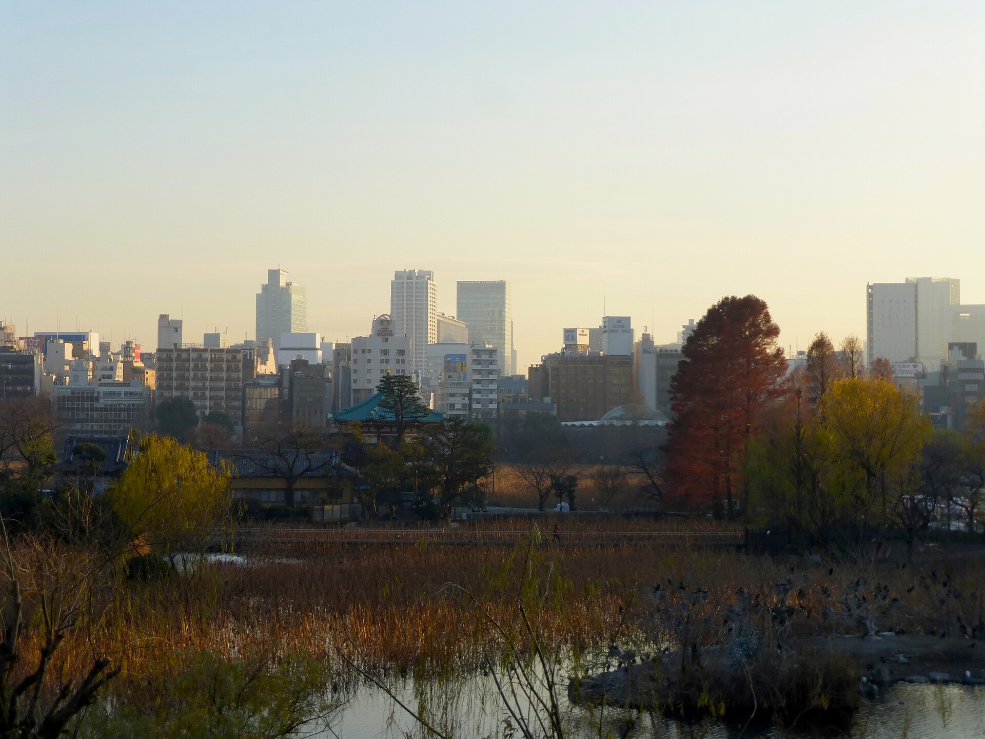 Shinobazu Pond and Bentendo hall in autumn